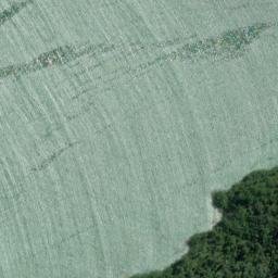 Satellite imagery of Shoal Point, NZ