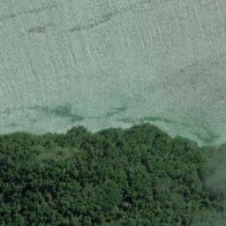 Satellite imagery of Shoal Point, NZ
