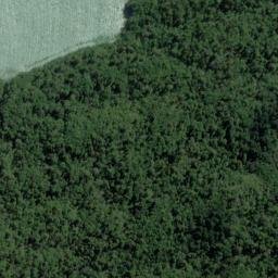 Satellite imagery of Shoal Point, NZ