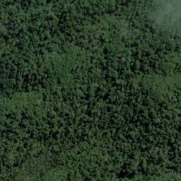 Satellite imagery of Shoal Point, NZ