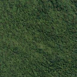 Satellite imagery of Cape Providence, NZ