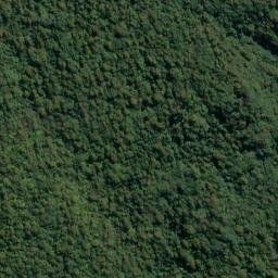 Satellite imagery of Cape Providence, NZ