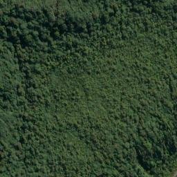 Satellite imagery of Cape Providence, NZ