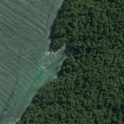 Satellite imagery of Rocky Head, NZ