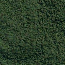 Satellite imagery of Cape Providence, NZ
