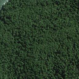 Satellite imagery of Rocky Head, NZ