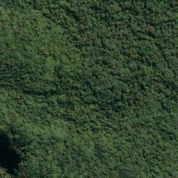 Satellite imagery of Cape Providence, NZ