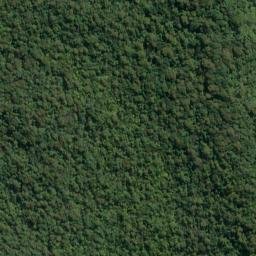 Satellite imagery of Cape Providence, NZ