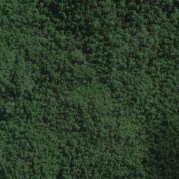 Satellite imagery of Rocky Head, NZ