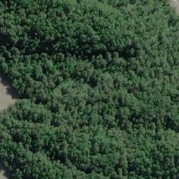 Satellite imagery of Punta Leucotón, CL