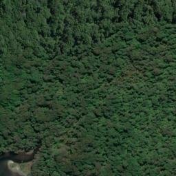 Satellite imagery of Reef Point, NZ