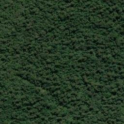 Satellite imagery of Rounding Point, NZ
