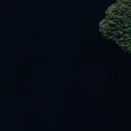 Satellite imagery of Adam Head, NZ