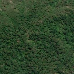 Satellite imagery of Gulches Head, NZ