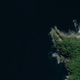 Satellite imagery of Paddy Point, NZ