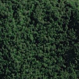 Satellite imagery of Punta Ballena, CL