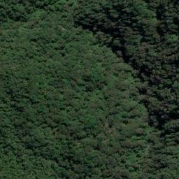 Satellite imagery of Long Reef Point, NZ