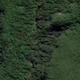 Satellite imagery of Long Reef Point, NZ