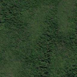 Satellite imagery of Long Reef Point, NZ