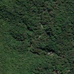 Satellite imagery of Long Reef Point, NZ