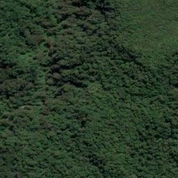 Satellite imagery of Long Reef Point, NZ