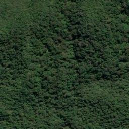Satellite imagery of Long Reef Point, NZ