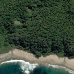 Satellite imagery of Long Reef Point, NZ