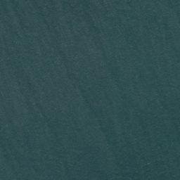 Satellite imagery of Punta Sobenes, CL