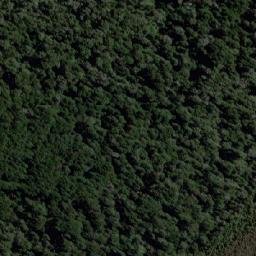 Satellite imagery of Monte Alejandro, CL