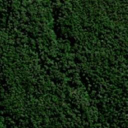 Satellite imagery of Monte Newman, CL