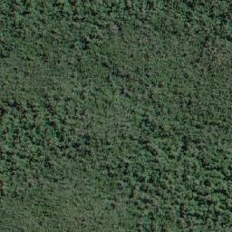 Satellite imagery of Cerro Camello, CL