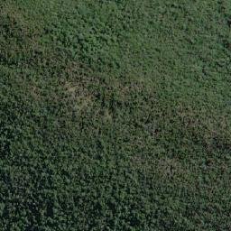 Satellite imagery of Cerro Camello, CL