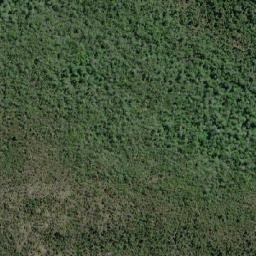 Satellite imagery of Cerro Camello, CL