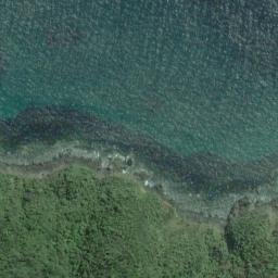 Satellite imagery of Black Rock Point, NZ