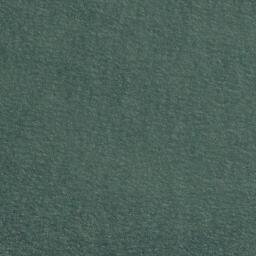 Satellite imagery of White Rock Point, NZ