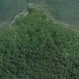 Satellite imagery of White Rock Point, NZ