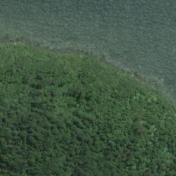 Satellite imagery of White Rock Point, NZ