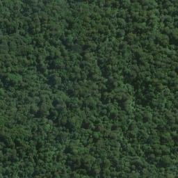 Satellite imagery of White Rock Point, NZ