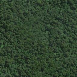 Satellite imagery of White Rock Point, NZ