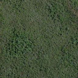 Satellite imagery of Cerro Boscoso, CL