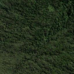Satellite imagery of Putatara Point, NZ