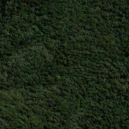 Satellite imagery of Putatara Point, NZ