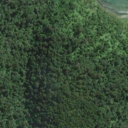 Satellite imagery of Lucky Point, NZ