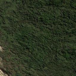 Satellite imagery of Putatara Point, NZ