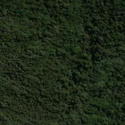 Satellite imagery of Putatara Point, NZ