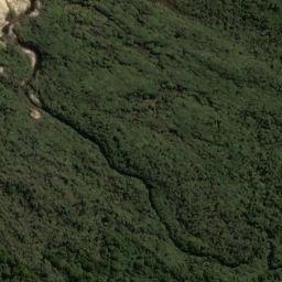 Satellite imagery of Putatara Point, NZ