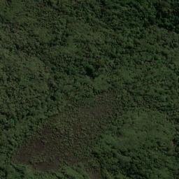 Satellite imagery of Putatara Point, NZ
