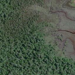 Satellite imagery of Punta Nalcas, CL