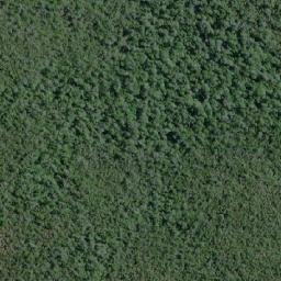 Satellite imagery of Punta Nalcas, CL