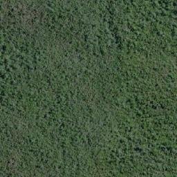 Satellite imagery of Punta Nalcas, CL